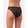 Bold Lace Bikini Brief