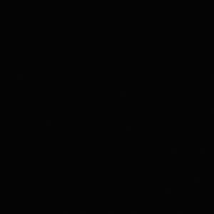 shiny black-7548